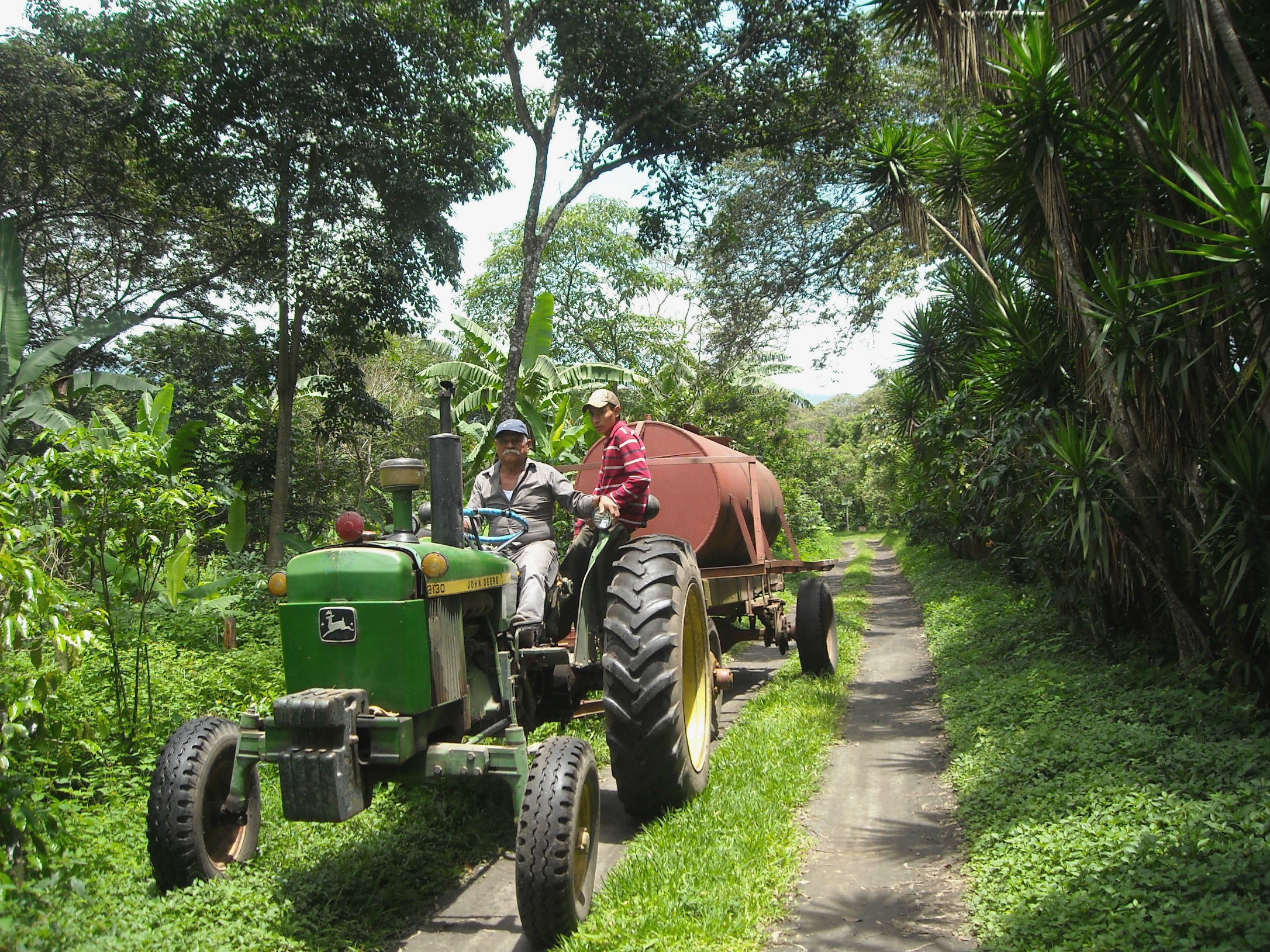 Guatemala San Jose La Laguna Organic