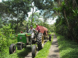 Guatemala San Jose La Laguna Organic