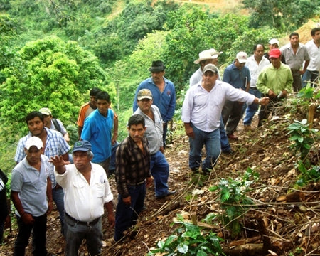 Mexico Chiapas San Fernando Mountain Water Decaf