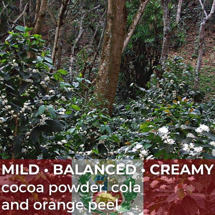 Peru Aromas del Valle Organic