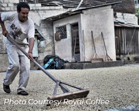 Peru Chacra Don Dago Organic Biodynamic
