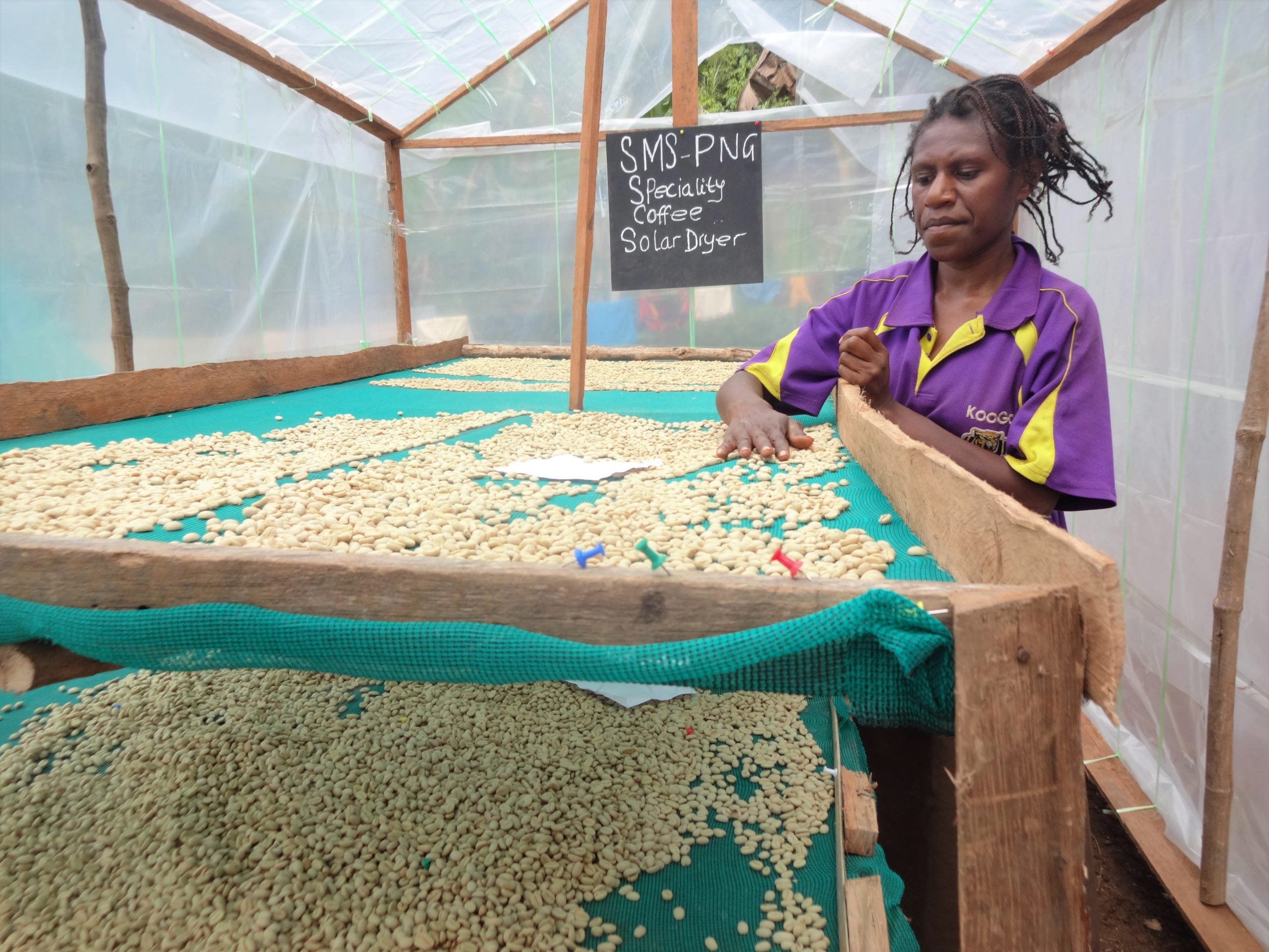 Papua New Guinea Roots No.1 AX Organic