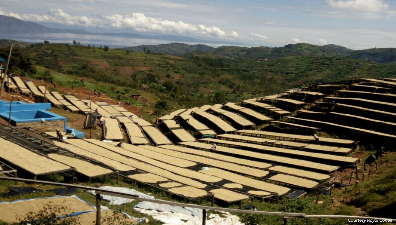 Rwanda Nyamasheke Kivubelt Jarama