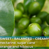 Rwanda Nyamasheke Kivubelt Jarama