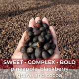 Sulawesi Toraja Bolokon Natural Organic