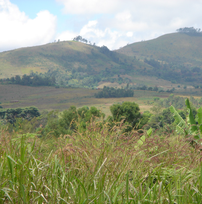 Tanzania Ruvuma AA