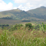 Tanzania Ruvuma AA