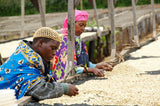 Tanzania Finagro Ascona Anaerobic Maceration