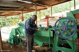 Tanzania Finagro Ascona Anaerobic Maceration