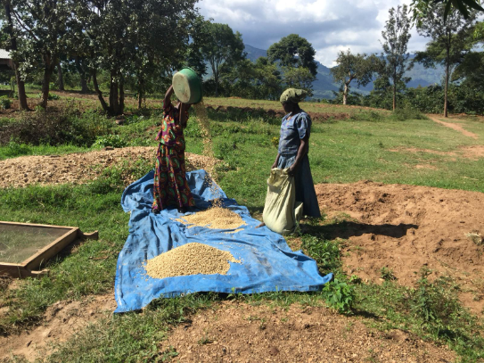 Uganda Friends of Mothers Organic