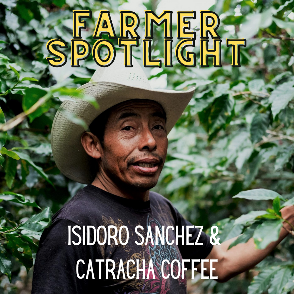 Farmer spotlight: Isidoro Sanchez and Catracha Coffee