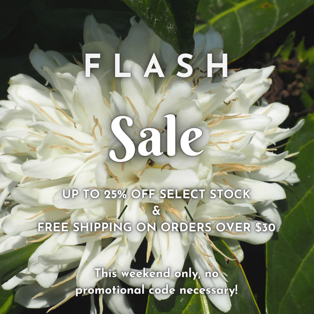 Flash Sale this weekend!