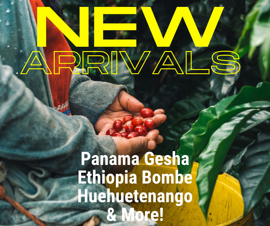 New Arrivals featuring Gesha, Bombe and more!