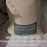 Brazil Lagoinha Farm Yellow Bourbon