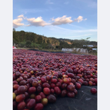 Honduras Don Abel Botijas Natural