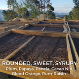 Honduras Marcala Black Honey
