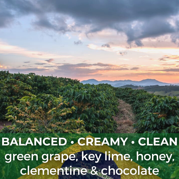 Brazil Nossa Senhora da Medalha Natural — photo published by The Captain's Coffee