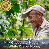 Colombia Finca La Primavera Peaberry