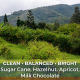 Colombia Organic FCC Ucumari