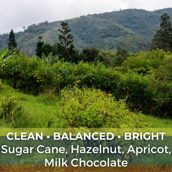 Colombia Organic FCC Ucumari — photo published by The Captain's Coffee