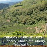 Colombia El Porvenir Double Fermentation Microlot