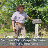 Colombia Tres Amores Microlot Blend