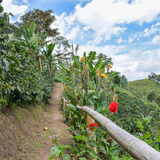 Costa Rica Santa Maria de Dota El Vapor Natural