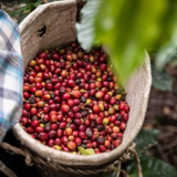 Costa Rica Santa Maria de Dota El Vapor Natural