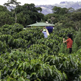 Costa Rica Santa Maria de Dota El Vapor Natural