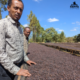 Ethiopia Sidama Shakiso Natural Decaf