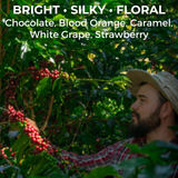 Costa Rica Rivense Finca El Mango Honey Process