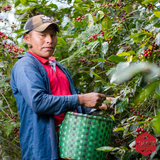 Honduras Comayagua Finca La Esmeralda Anaerobic Natural Organic