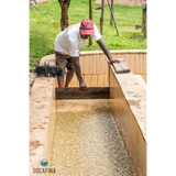 Kenya Muranga Gatagua AA