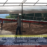 Colombia Finca La Riviera Pink Bourbon Honey