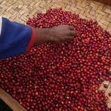 Papua New Guinea Arufa Natural Grade A