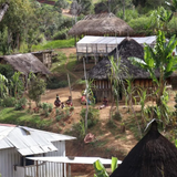 Papua New Guinea Arufa Natural Grade A