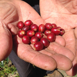 Panama Los Gonzalez Anaerobic Natural