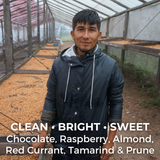 Peru Maragogipe Washed - Germán Carranza Barboza