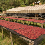 Rwanda Regional Natural