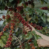 El Salvador Picacho Superior