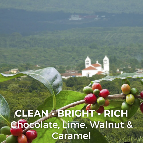 El Salvador Picacho Superior — photo published by The Captain's Coffee