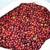 El Salvador Divina Natural