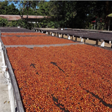 El Salvador Divina Natural
