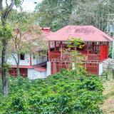 Colombia Hacienda Missiones Mocha
