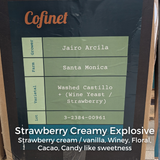 Jairo Arcila Santa Monica Washed Castillo (Wine Yeast / Strawberry)