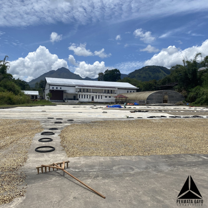 Sumatra Aceh Permata Gayo Mandheling — photo published by The Captain's Coffee