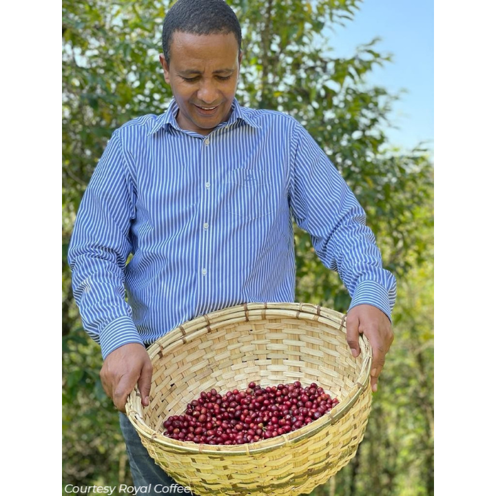 Ethiopia Sidama Bombe Abdosh Natural Organic
