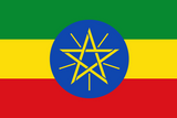 Ethiopia Sidamo Natural "Gerbicho Killa" Aleta Wondo