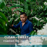 Honduras Finca Liquidámbar Yellow Honey Organic