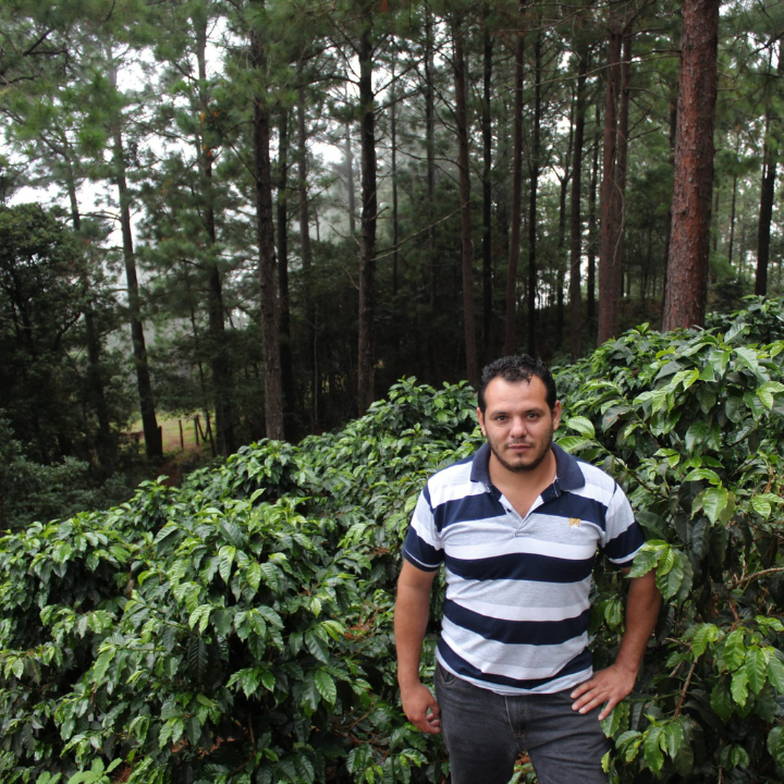 Honduras Marcala Proyecto Cabañas Natural